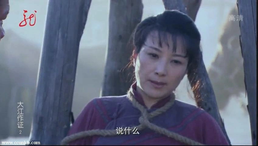 大江作证II