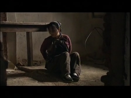 党的女儿（2011电视剧版）