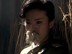 桐柏英雄