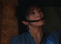 玉面桃花总相逢