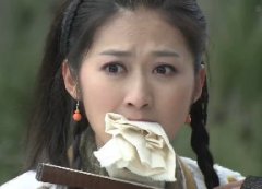 宋朝灰姑娘（儿女传奇/王刚讲故事）