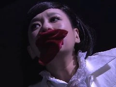 镜中人（儿女传奇/王刚讲故事）