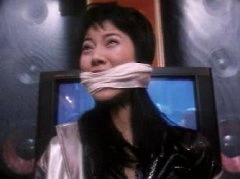 大三元