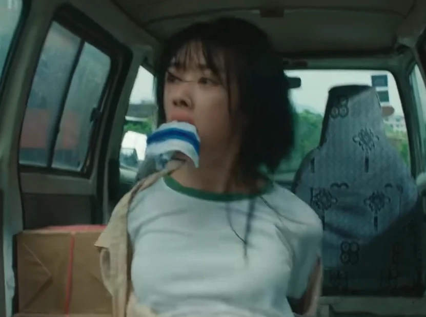 十二封信