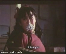 许晶