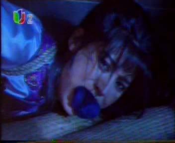 丐王（又名：少林夺宝）