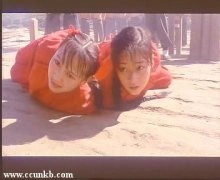 应真；佚名