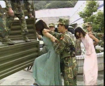 红蜘蛛