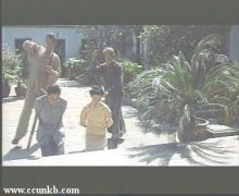 陈炜