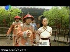 苏岩*