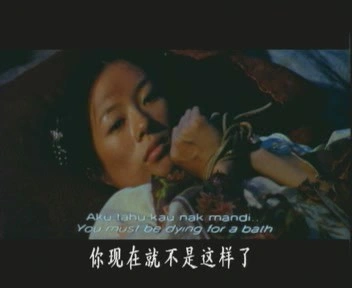 卧虎藏龙（电影版）