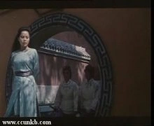 陈琦