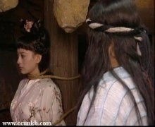 苗乙乙