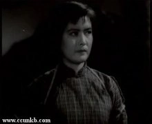 杨雅琴