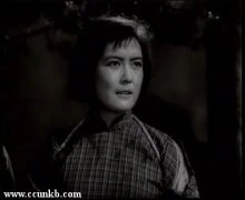 杨雅琴