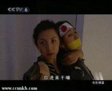 赵冉