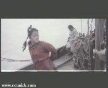 王丽莎