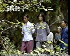 马芳,张敛