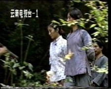马芳,张敛