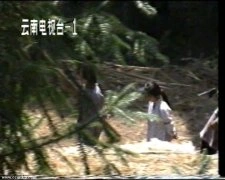 马芳,张敛