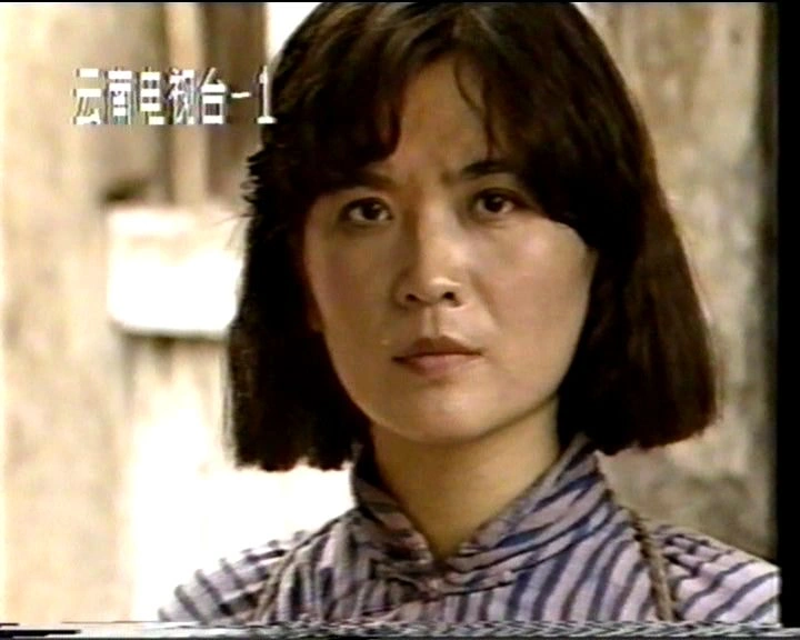  巴山游击队 