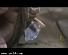 钱婷（钱哆多）