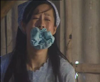 捕蛇行动