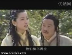 李冰冰