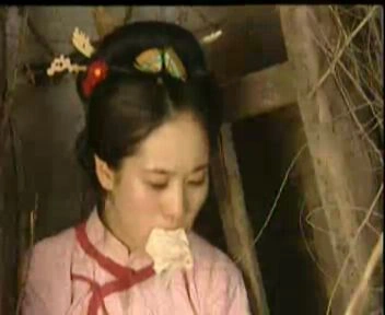 陈真后传