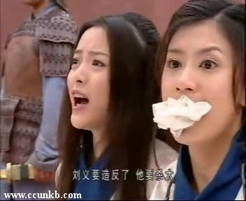 贾静雯,刘怡君