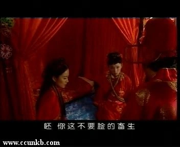 俞飞鸿,潘婷