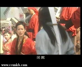 俞飞鸿,潘婷