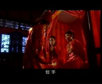 大明天子