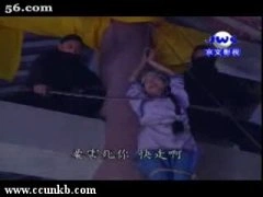 陈丽峰