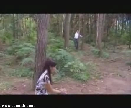 秦岚