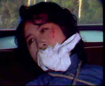 敌营十八年（老版）