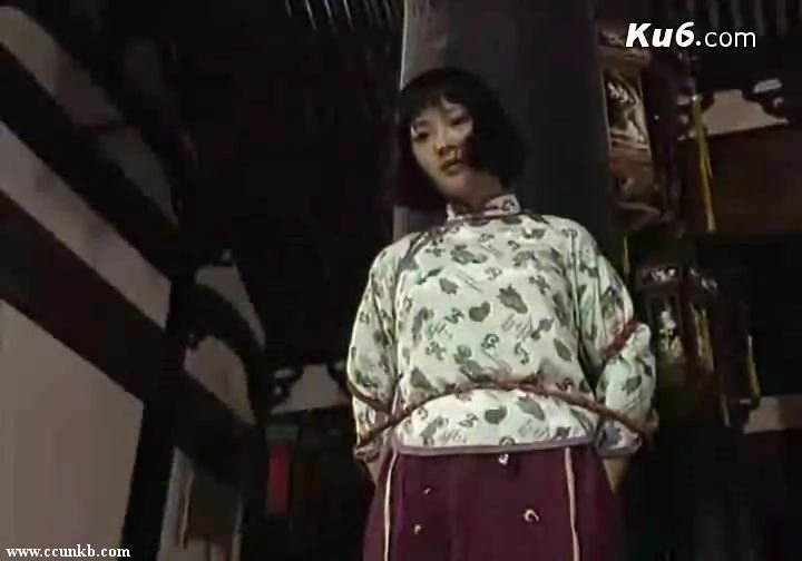 胡天鸽