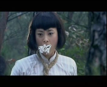 东陵大盗（电视剧版）