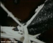 曹颖