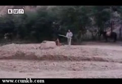 陶红