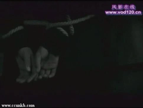 白庆琳
