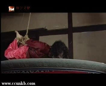 袁雯