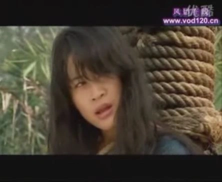 根在中原