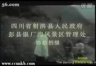 许志藏