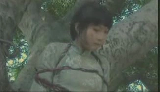 寡妇村