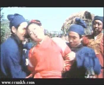 王苓华
