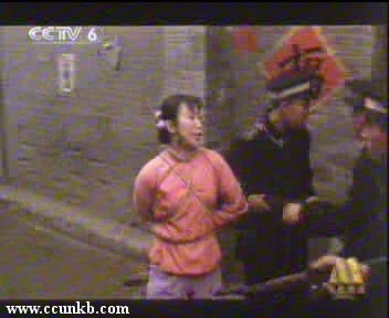 曲雁