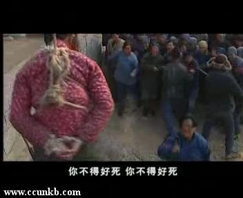 王一婷