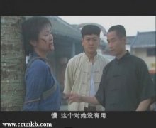 陆双