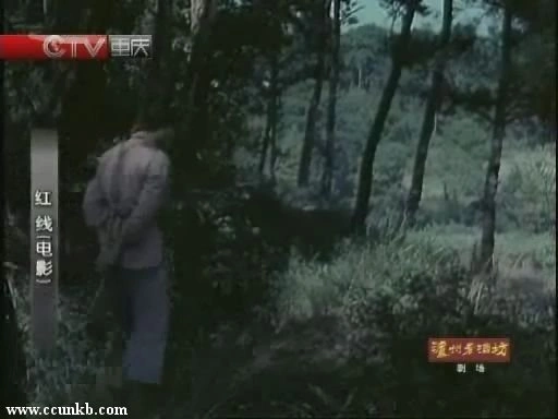 迟蓬